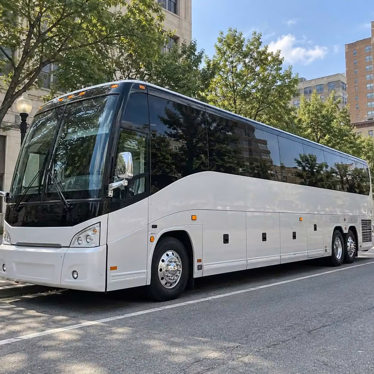 royal palm beach charter bus rentals for royal palm beach bachelor and bachelorette parties